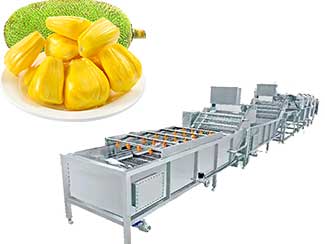 Commericial Use Jackfruit Washing Machine