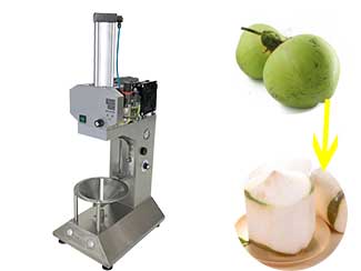 Onion Cutting Machine-Everfit Food Machine