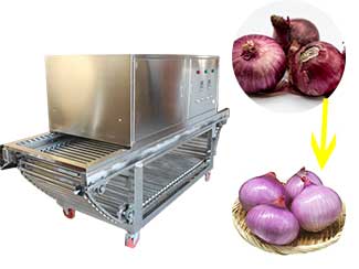 Onion Peeling Machine