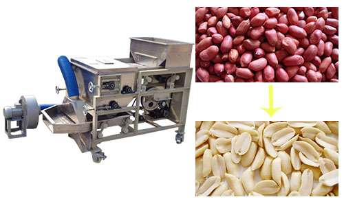 Peanut Half Cutting Machine|Automatic Peanut Cutting Machine