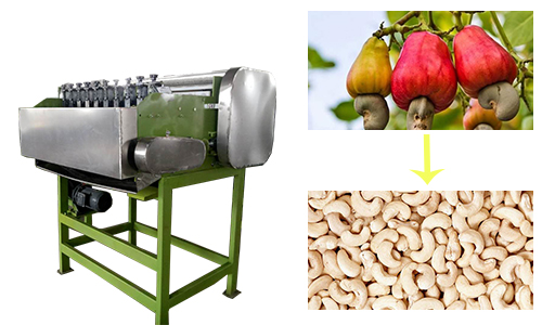 automatic cashew shelling machine