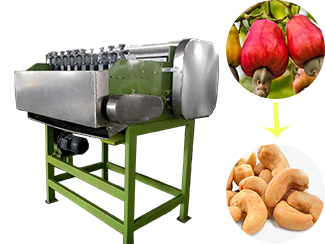 cashew nut shelling machine