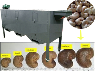 cashew grading machine price