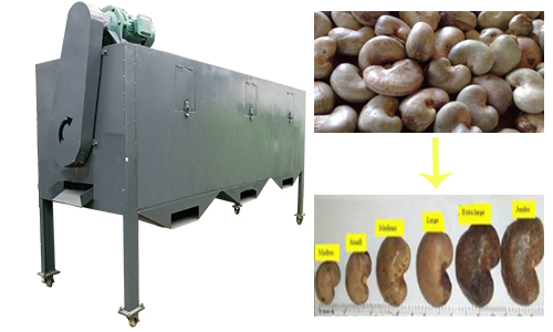 raw cashew grading machine