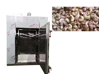 cashew dryer machine