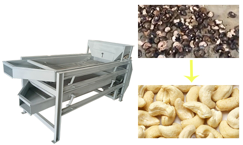 Cashew nut kernel separator