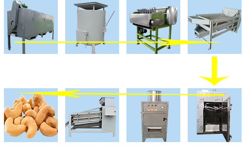 Factory Cashew Nut Processing Steps: