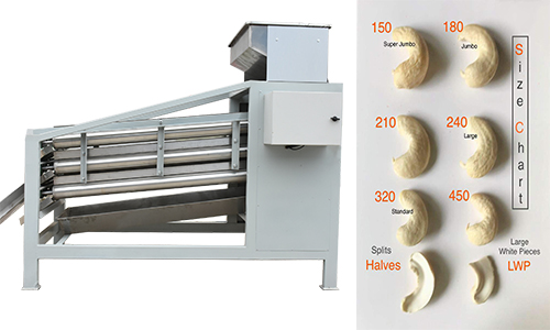 Cashew kernel grading machine