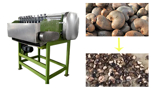 cashew nut shelling machine