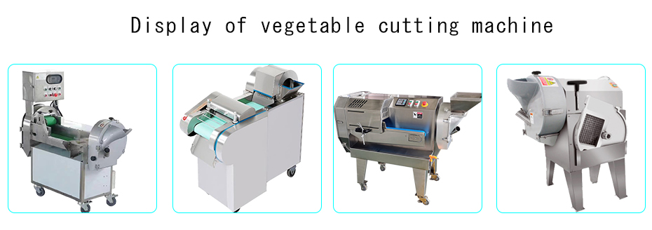vegetable cutter price in pakistan