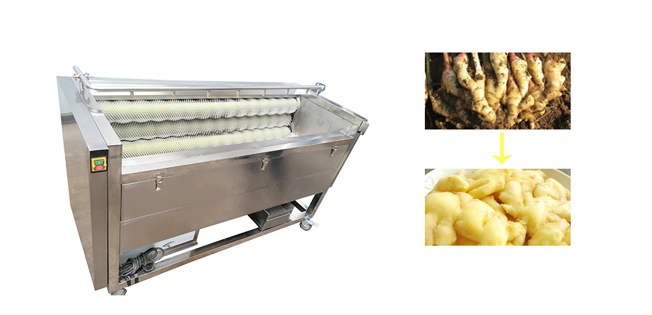 Brush Type Ginger Washing Peeling Machine 