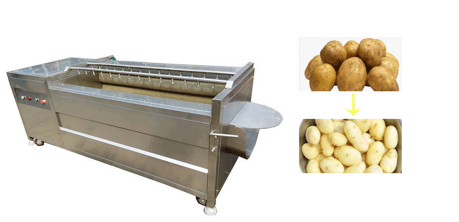 Potato Cleaning Machine Price