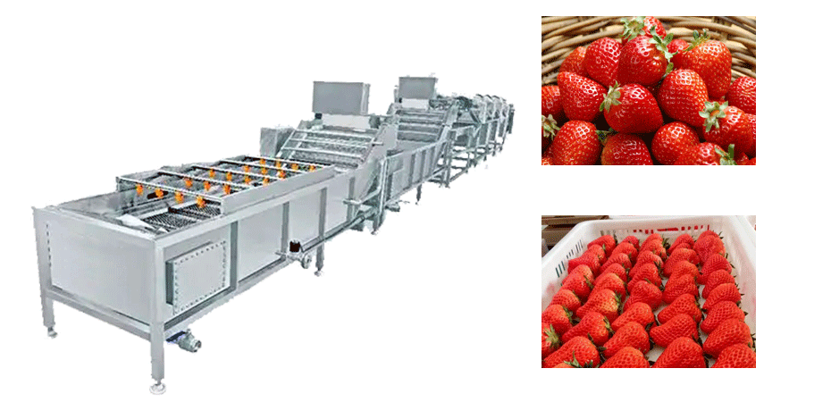 Strawberry Washing Machine line