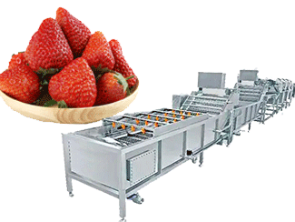 Strawberry Washing Machine