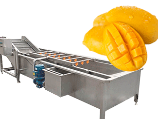 Mango fruit washing machine 