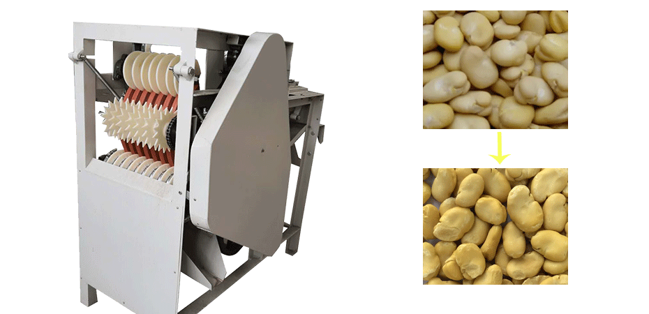 Broad Bean Peeling Machine