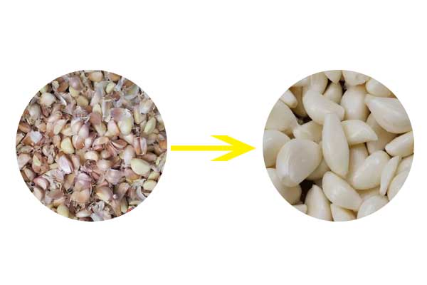 garlic peeling