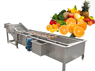 Commercial Fruit Washing Machine