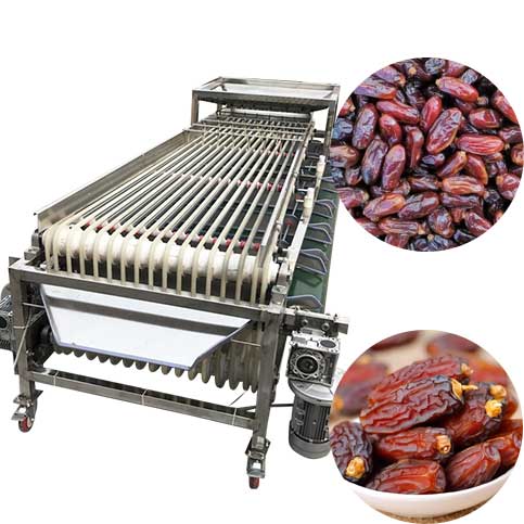 Palm Date Grading Sorting Machine