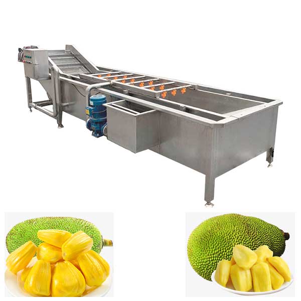 Commericial Use Jackfruit Washing Machine