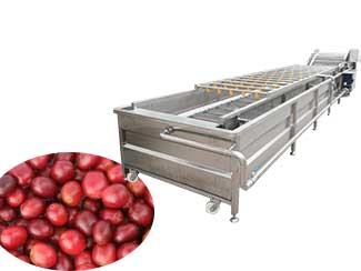 Coffee Cherry Washing Machine