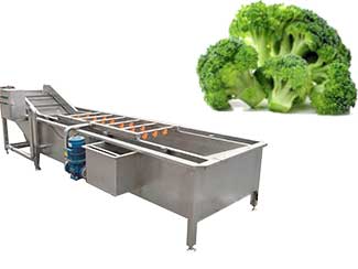 Broccoli Florets Washing Machine