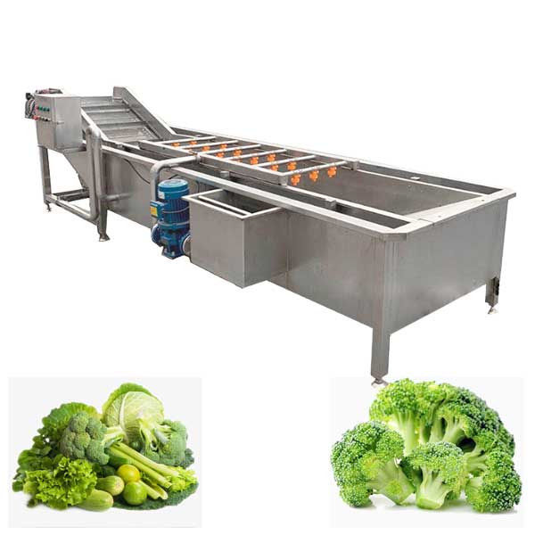 Broccoli Florets Washing Machine