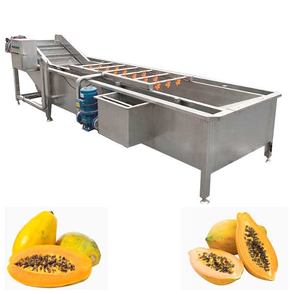 Papaya Washing  Machine