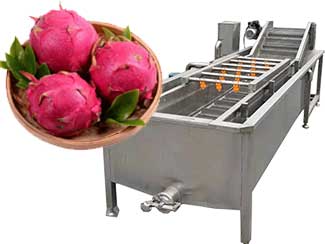 Dragon Fruit Washing Machine