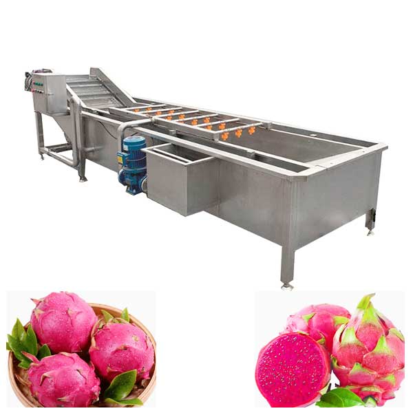 Dragon Fruit Washing Machine