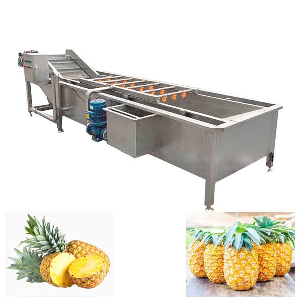 ineapple Fruit Washing Machine