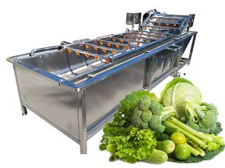 Leafy Vegetable Washing Machine