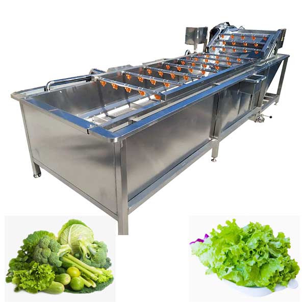 Leafy Vegetable Washing Machine