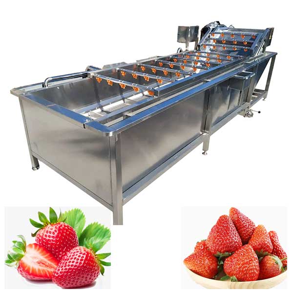 Strawberry Washing Machine