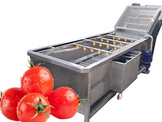 Stainless Steel Tomato Washing Machine