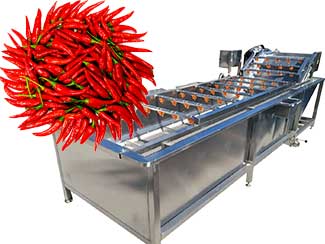 Automatic Chili Pepper Washing Machine