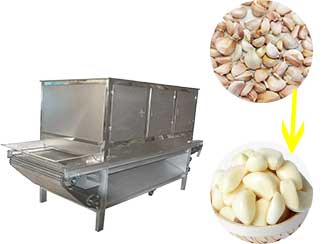 Automatic Garlic Peeling Machine