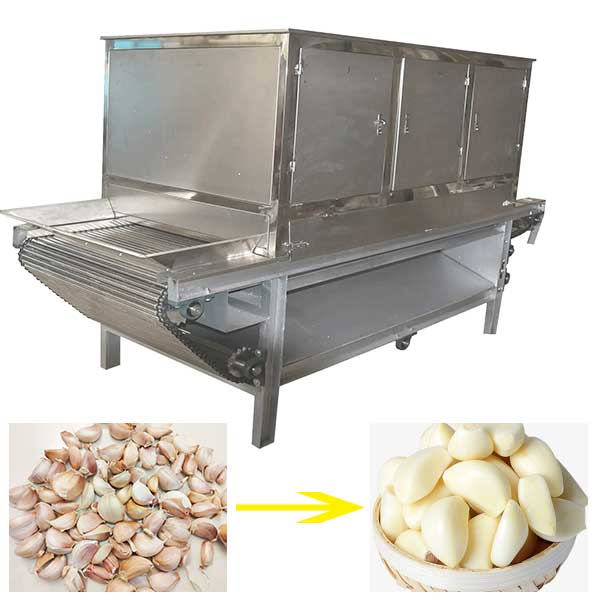 Automatic Garlic Peeling Machine Price