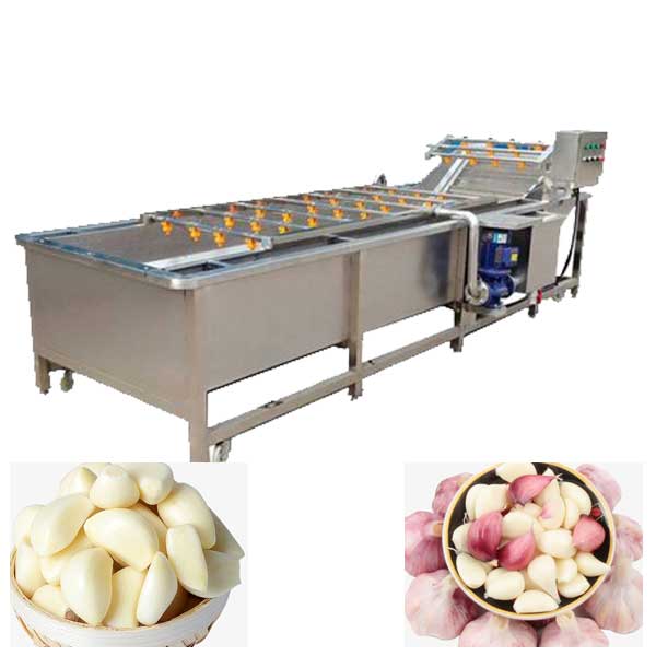 Garlic Cleaning Machine