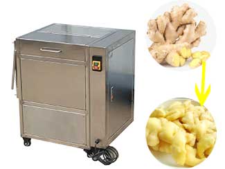 Small Ginger Washing Peeling Machine