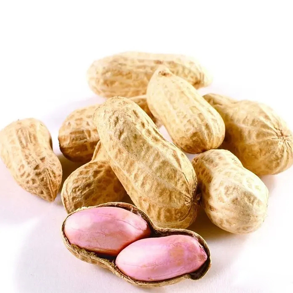 Ordinary type peanut