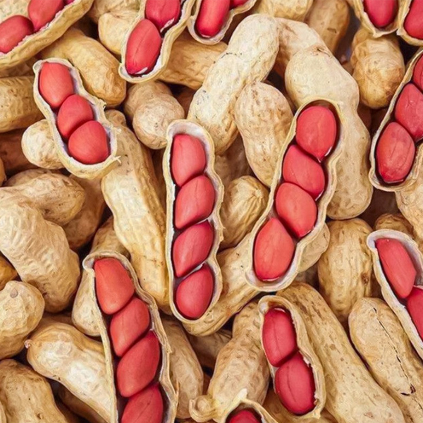 Multi-grain type peanut