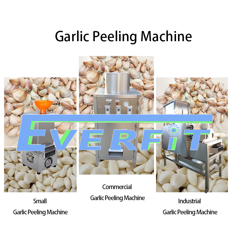 Garlic Peeling Machine