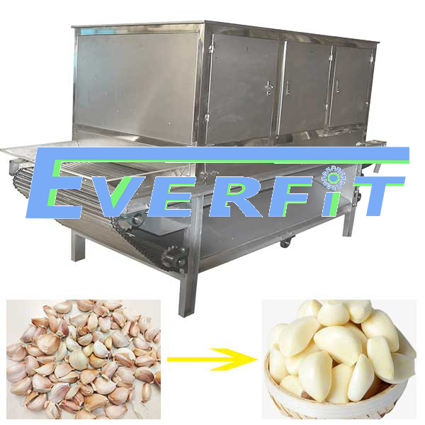 industrial garlic peeling machine