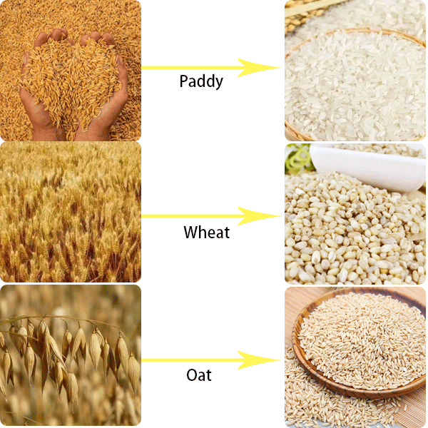 Rice Hulling Machine