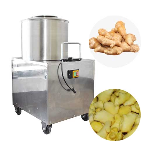 Small Ginger Peeling Machine-Everfit Food Machine