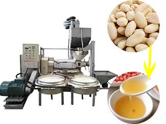 Industrial Peanut Oil Press Machine Factory Price For Sale