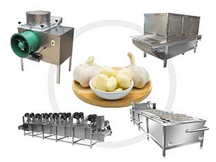 400kg/h Garlic Peeling And Cleaning Production Line