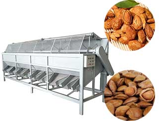 Industry Almond Badam Grading Machine Price