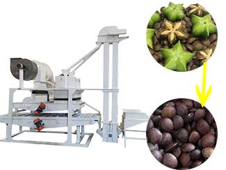 Plukenetia Volubilis Shelling Unit | Sacha Inchi Shelling Machine Factory Price